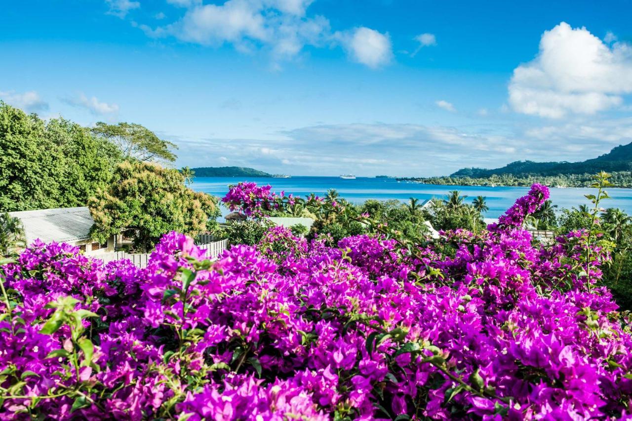 Villa Rea Hanaa 보라 보라 외부 사진