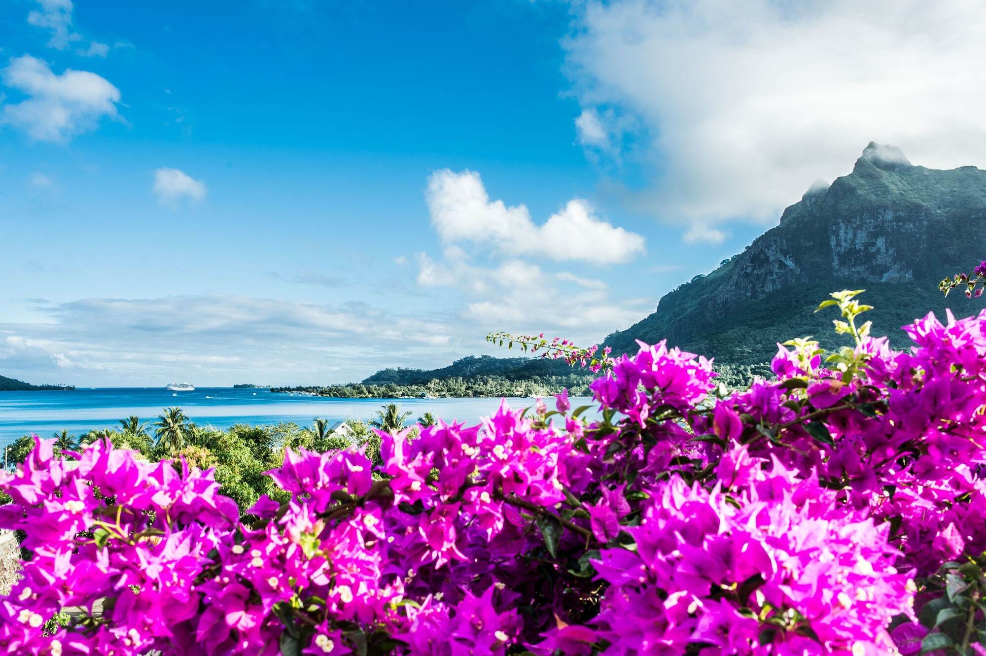 Villa Rea Hanaa 보라 보라 외부 사진